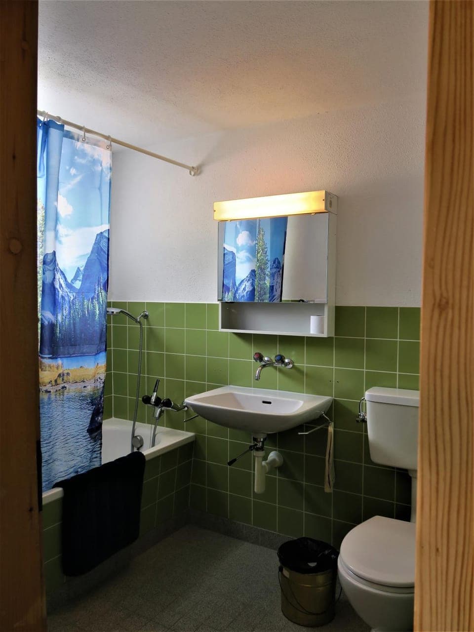 Toilet, Bathroom