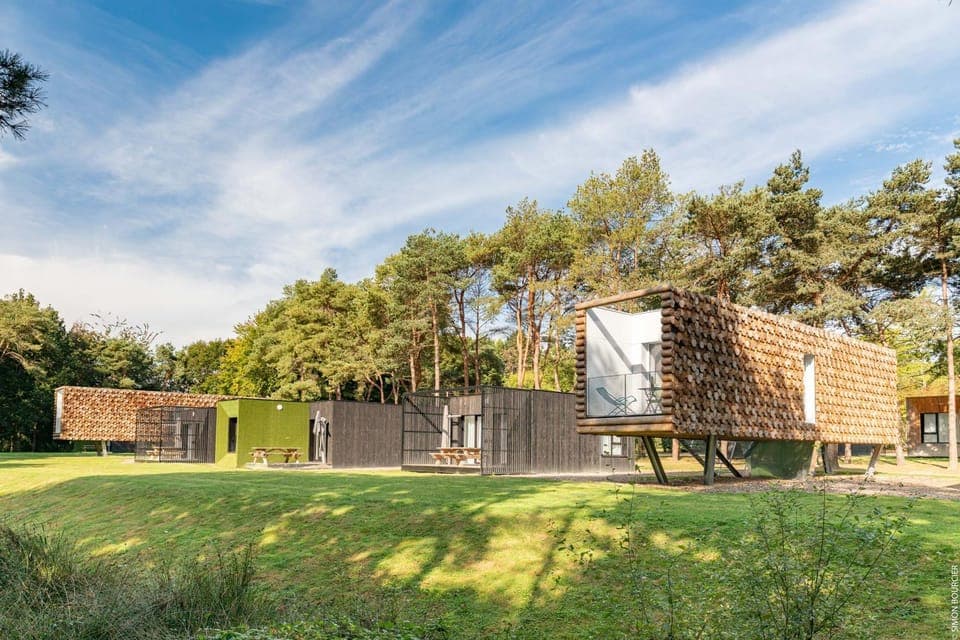 Natural landscape, Garden