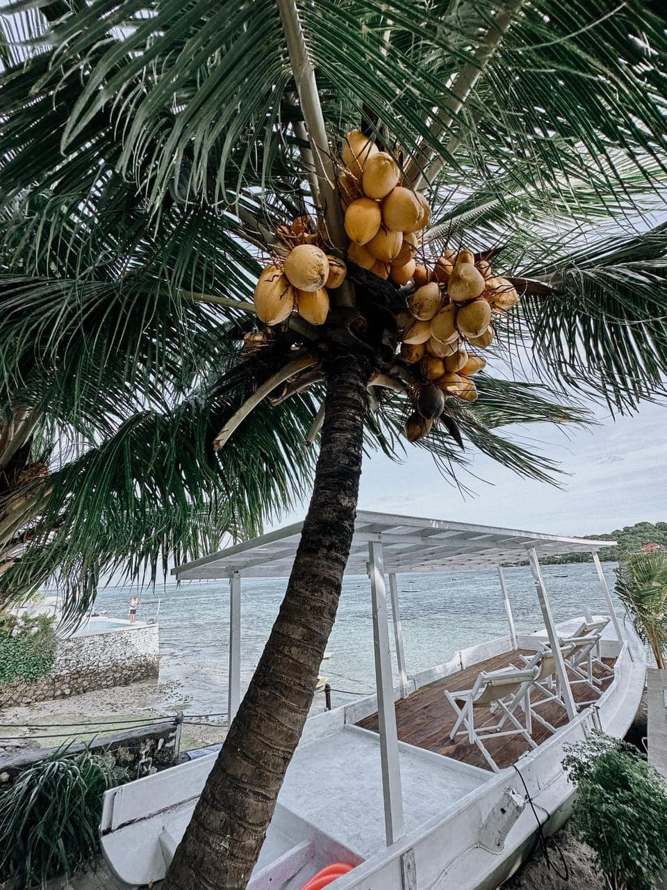 Day, Natural landscape, Garden, Garden view, Sea view