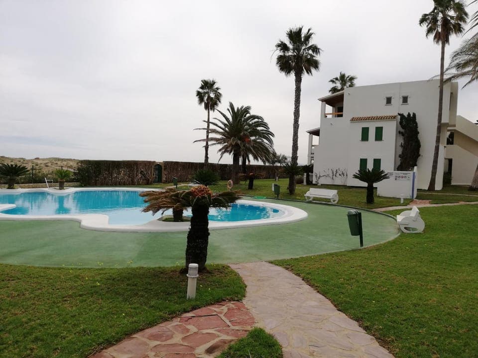 Patio, Garden, Garden view