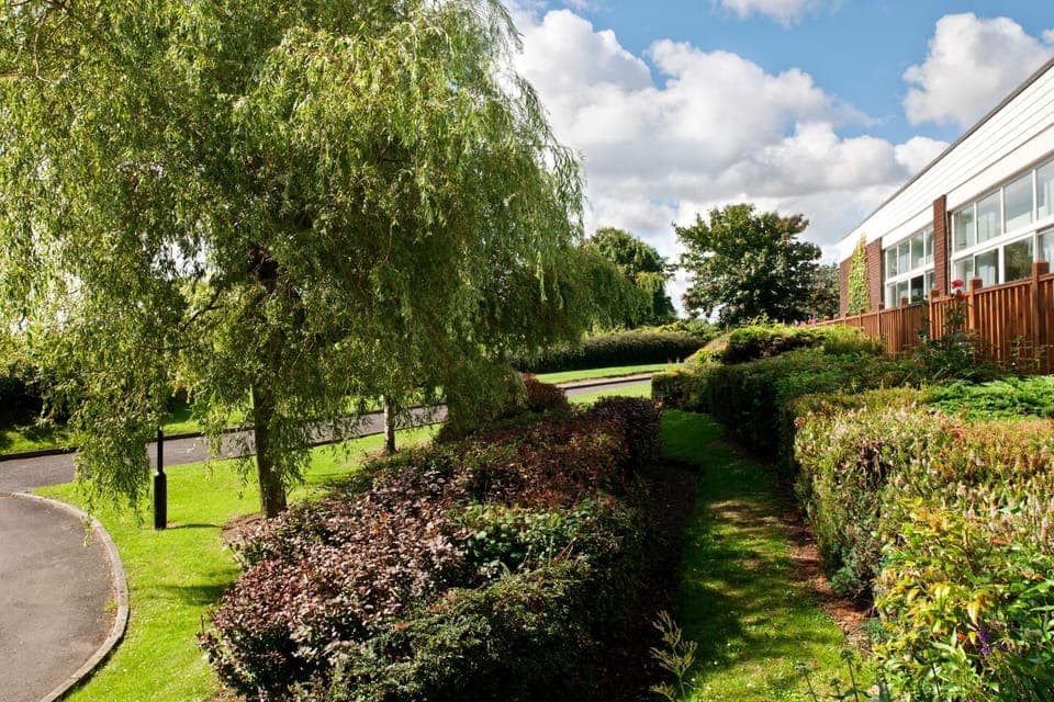 Natural landscape, Garden