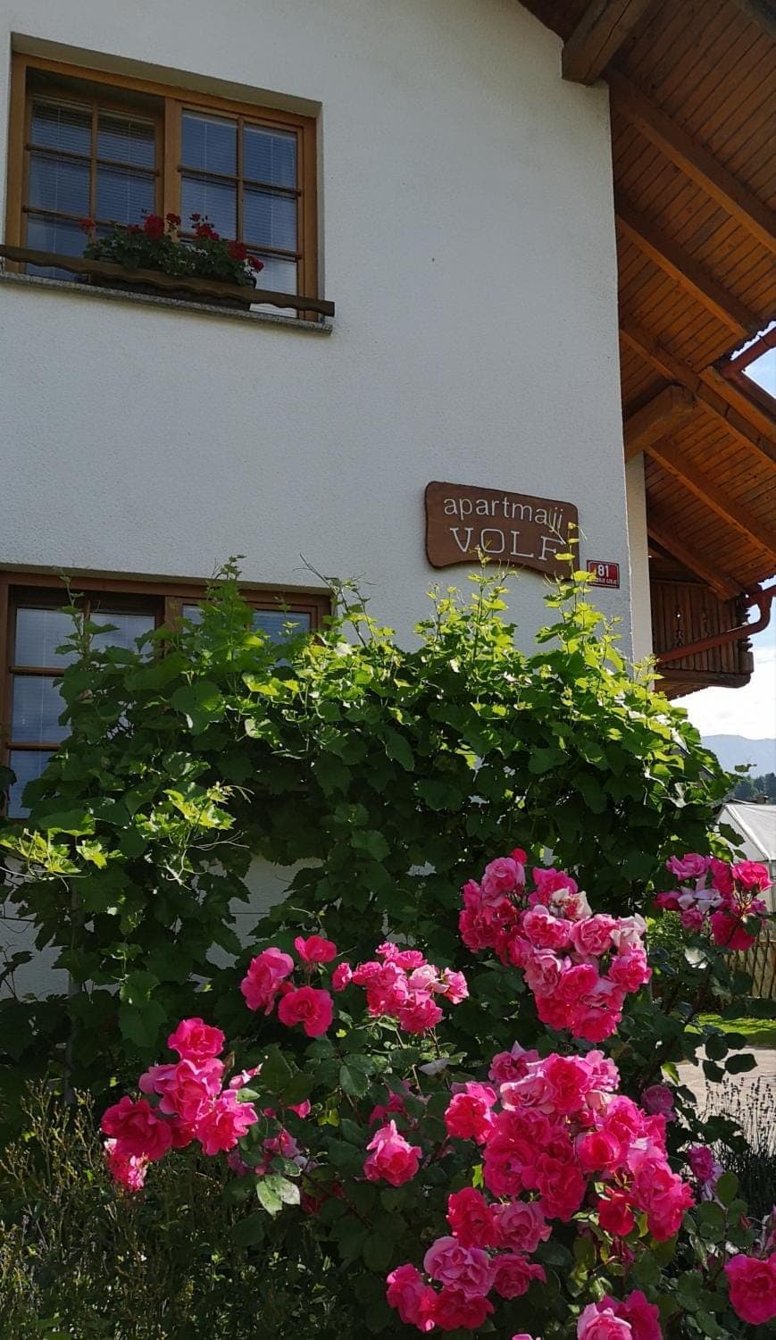 Property building, Garden