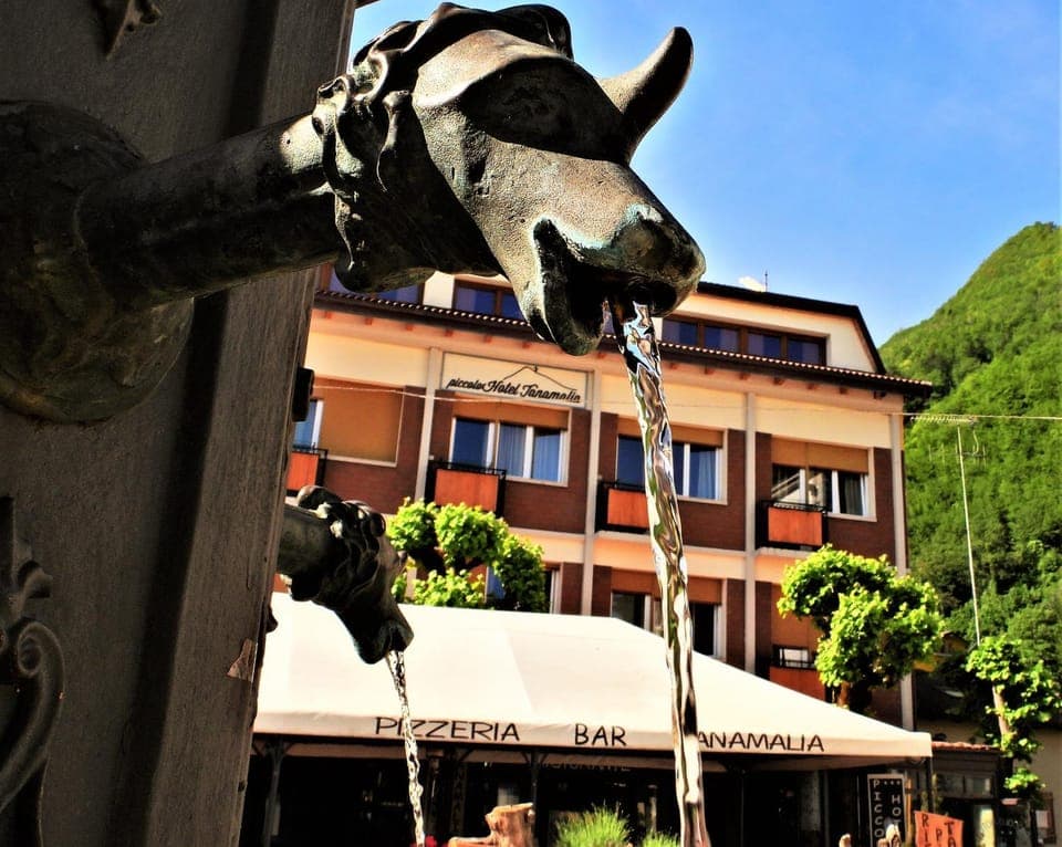 Property building, Mountain view