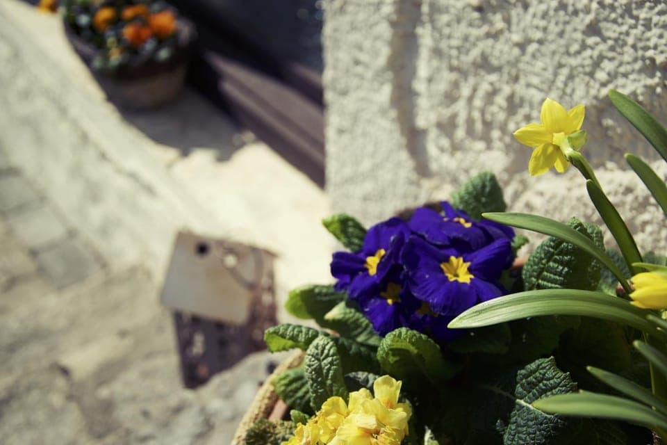 Spring, Summer, Decorative detail