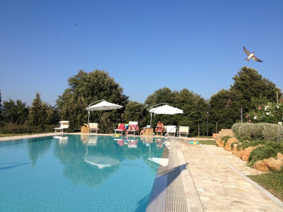 Swimming pool, Swimming pool