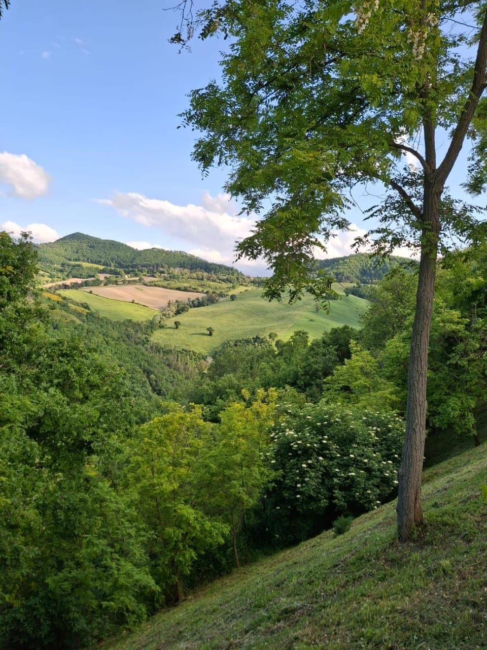 View (from property/room)