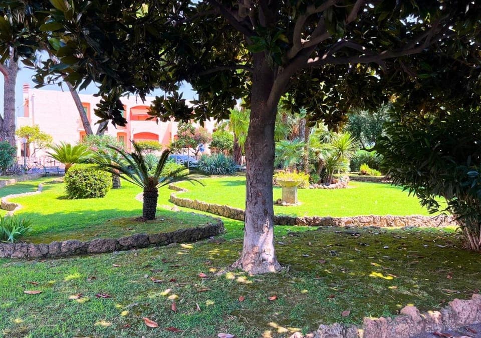 Day, Natural landscape, Summer, Garden, Garden view