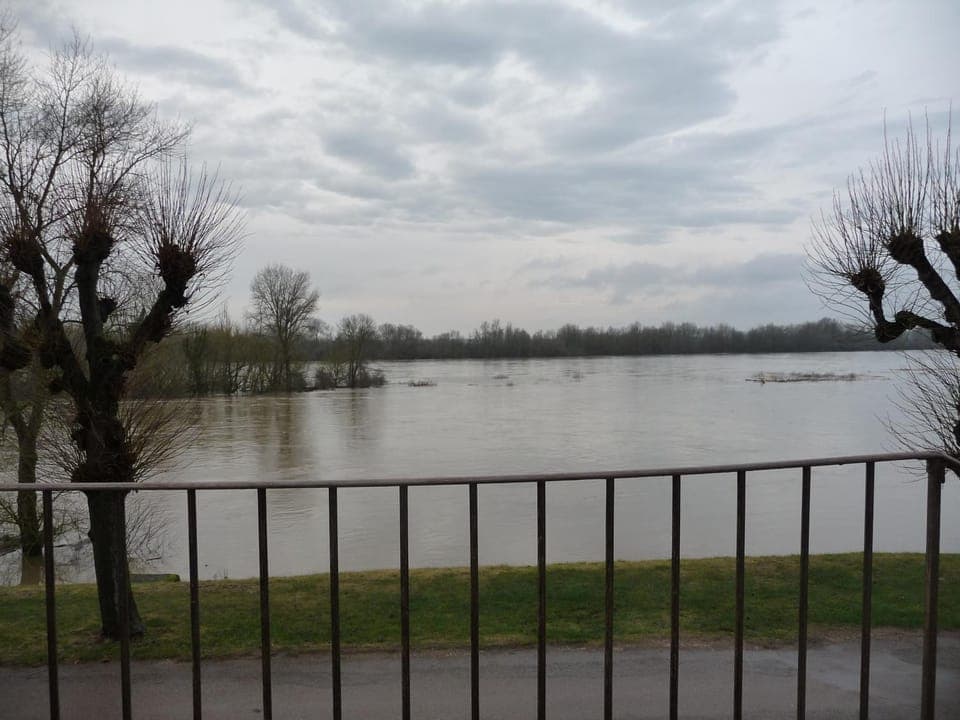Natural landscape, River view
