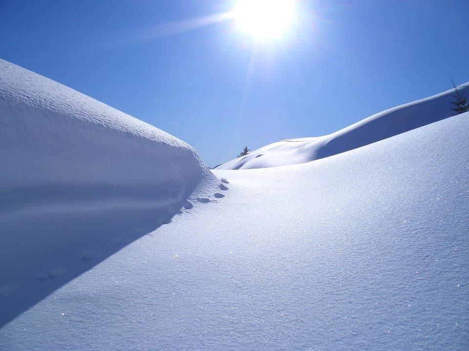 Winter, Area and facilities