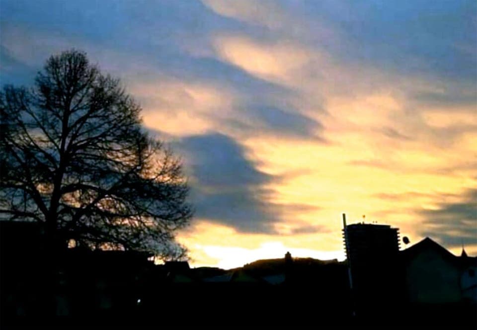 Summer, City view, Sunset