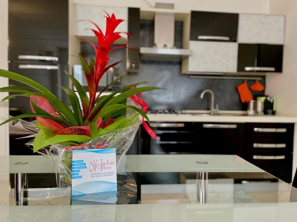 Kitchen or kitchenette, Dining area, minibar, stove