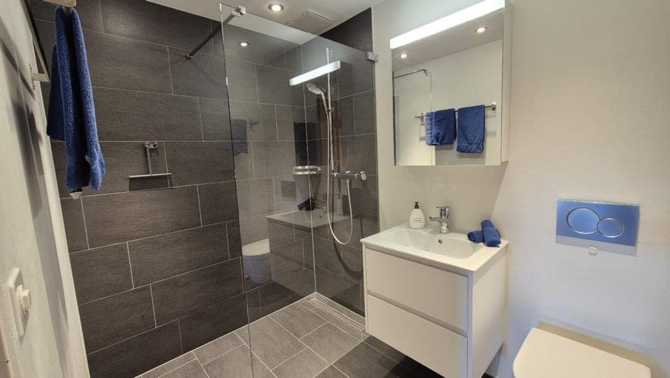 Shower, Toilet, Bathroom, towels