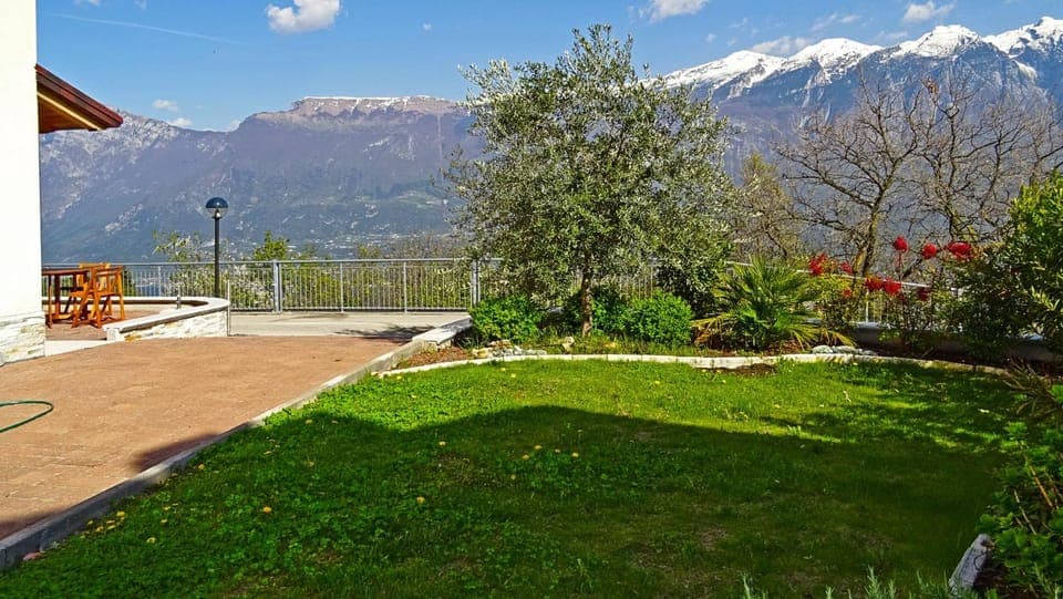 Patio, Garden, Garden view