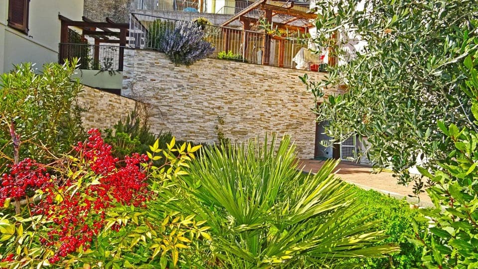 Patio, Garden, Garden view