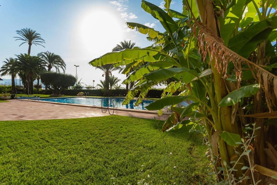 Garden, Swimming pool