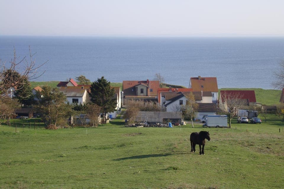 Property building, Off site, Animals, Lake view