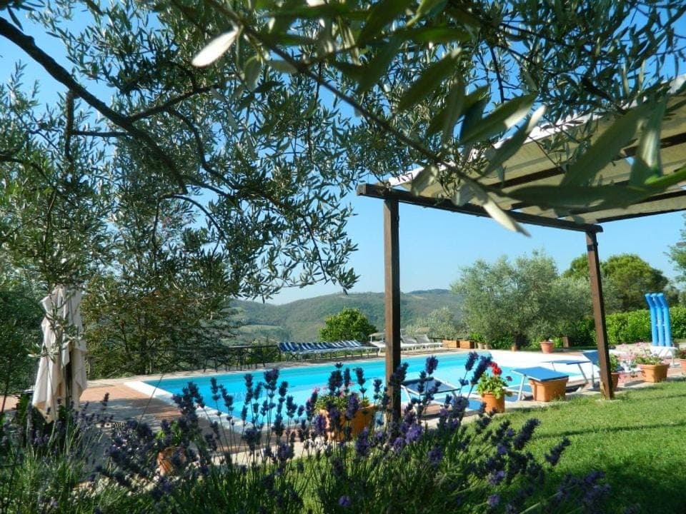 Natural landscape, Solarium, Garden view, Pool view, Swimming pool, sunbed