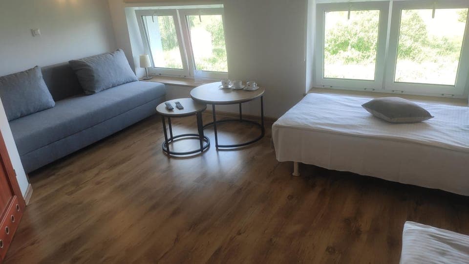 Bed, Living room, Photo of the whole room, Seating area, Bedroom