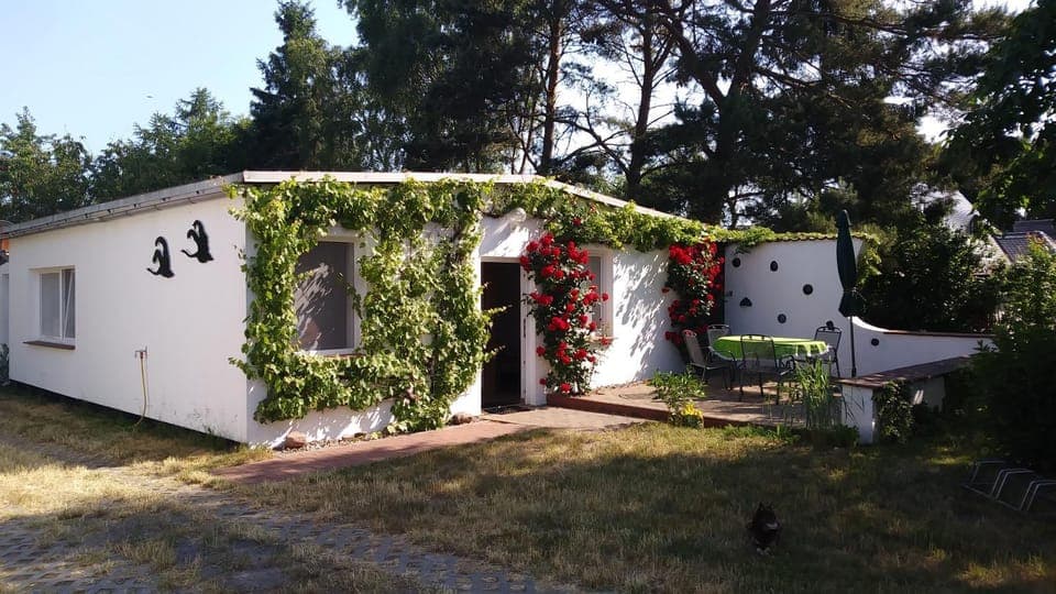 Patio, BBQ facilities, Garden, Balcony/Terrace