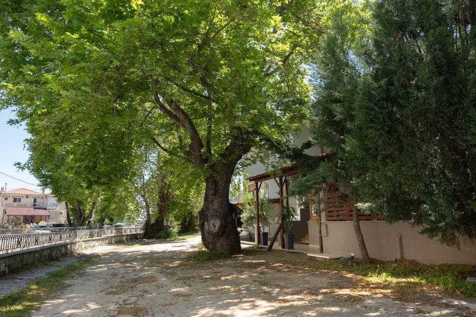 Day, Natural landscape, Location