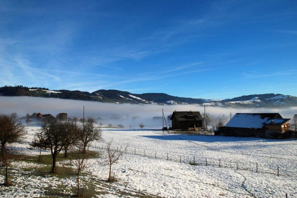 Natural landscape