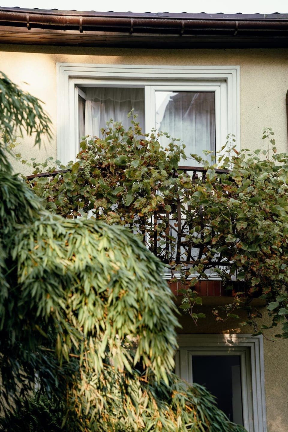 Property building, Balcony/Terrace