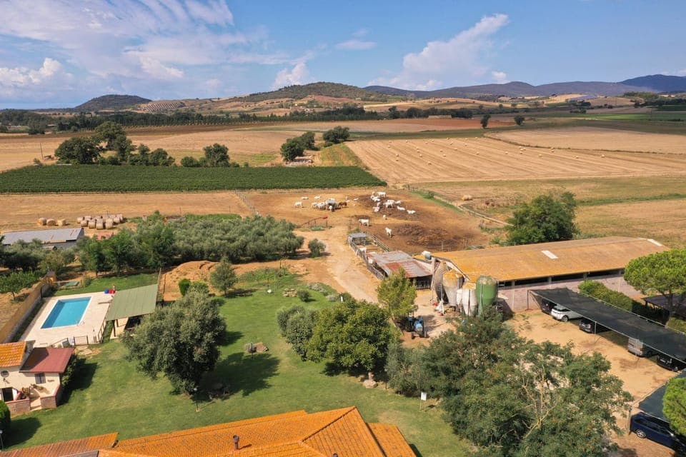 Property building, Natural landscape, Animals, Animals, Swimming pool