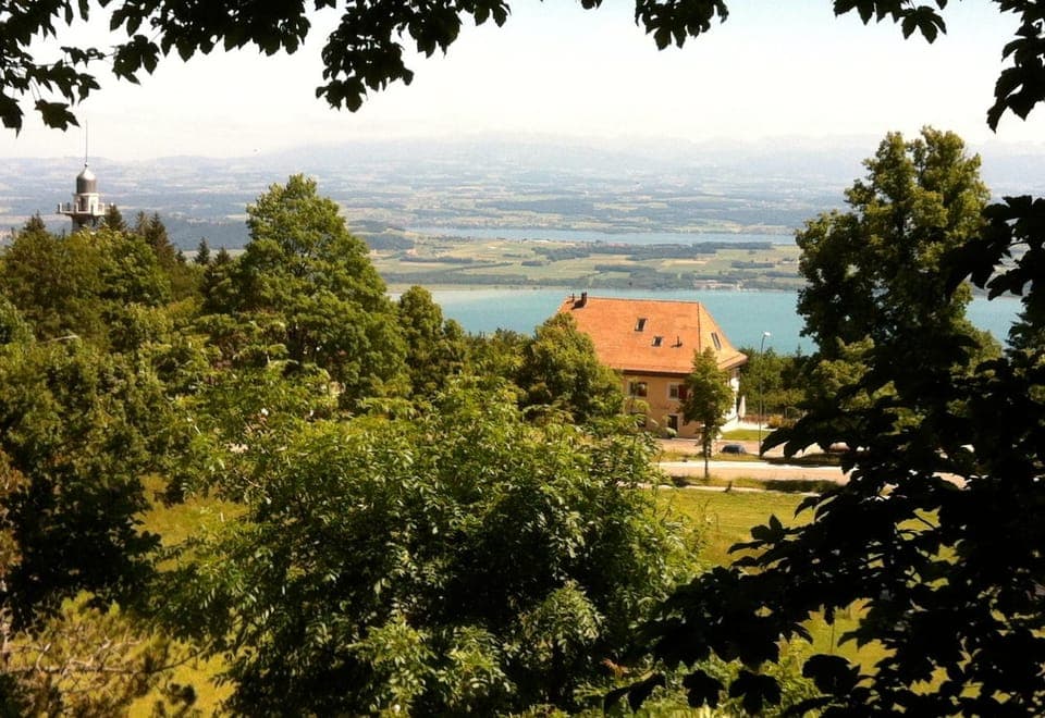 View (from property/room)