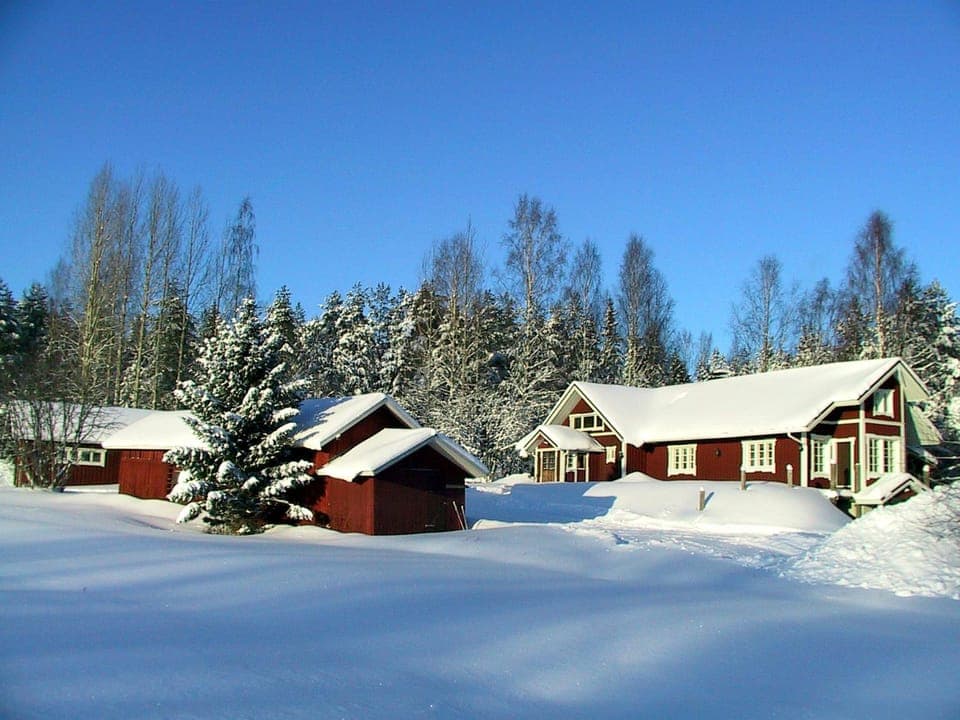 Winter