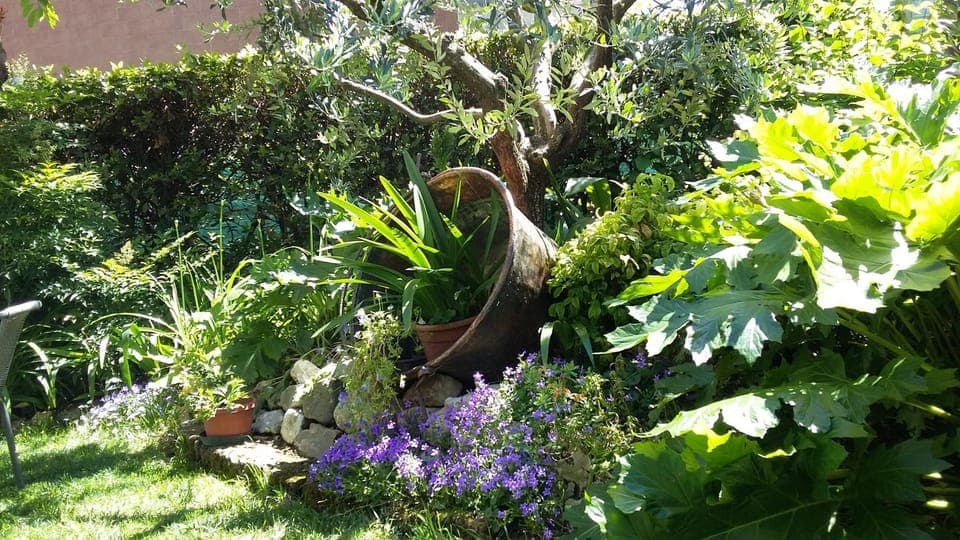 Garden