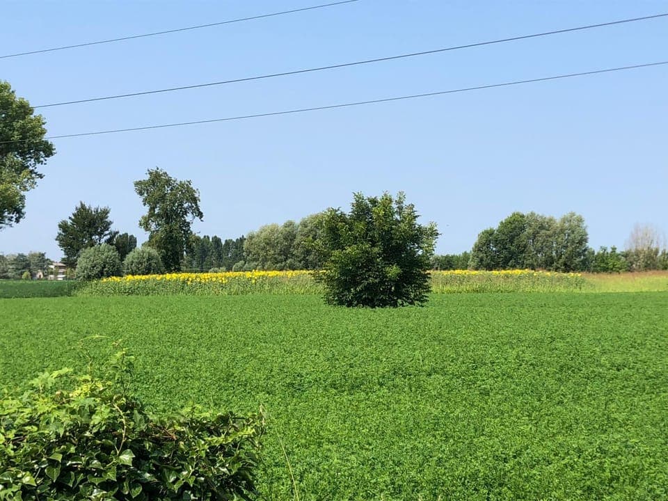 Spring, Natural landscape