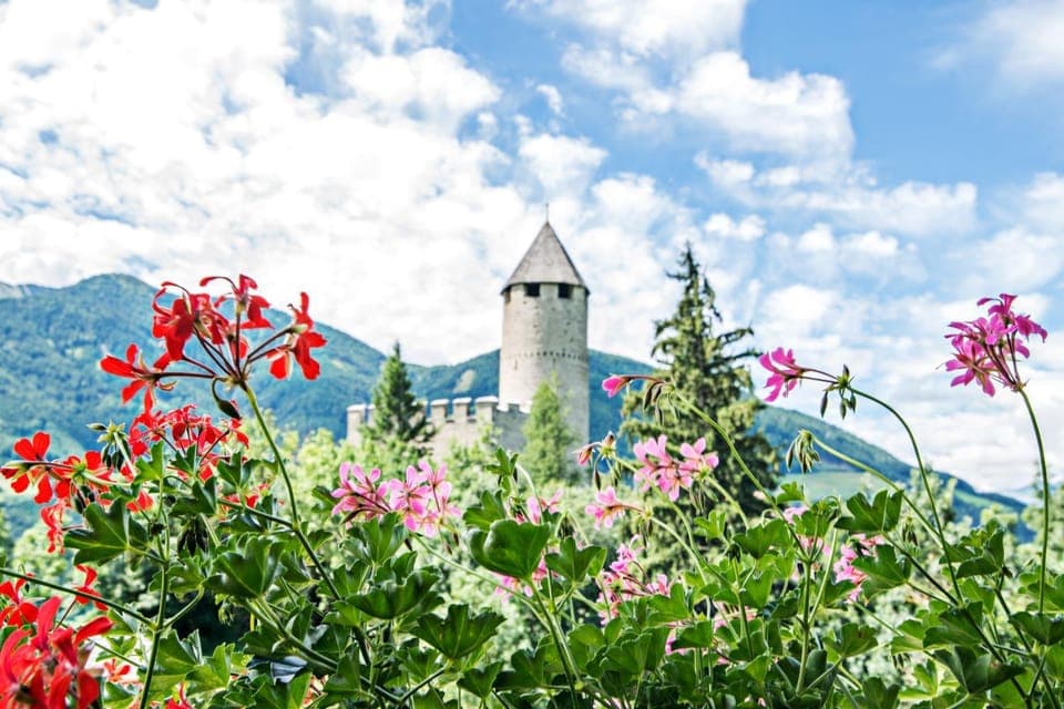 On site, Entertainment