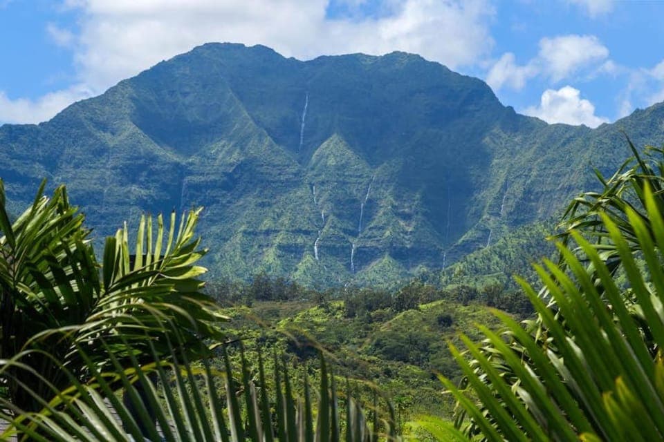 Hanalei Waterfalls House TVNC #5120 House in Hanalei