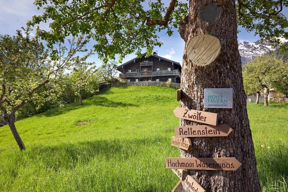 Spring, Neighbourhood, Natural landscape, Garden