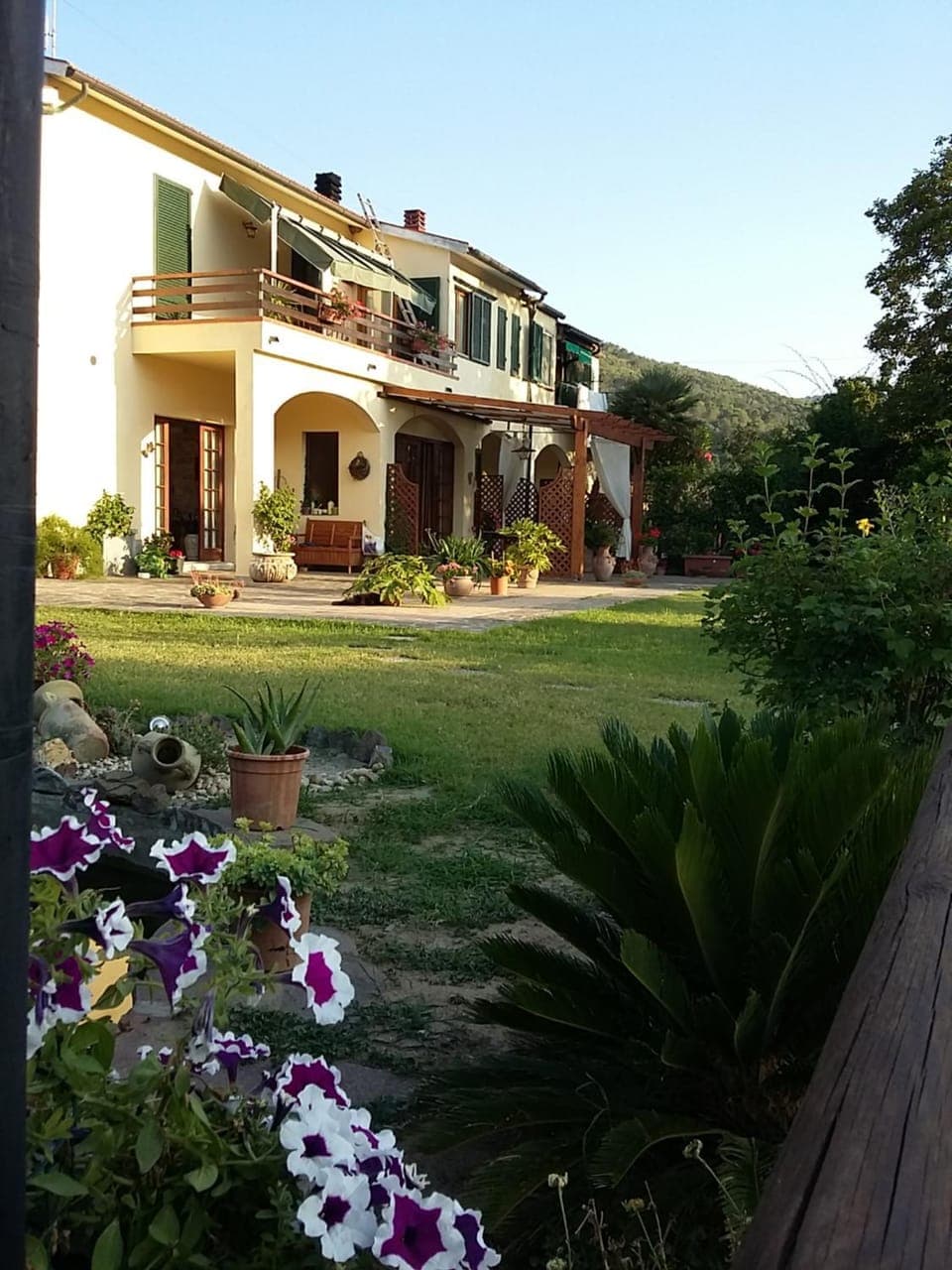 Facade/entrance, Summer