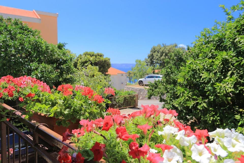 Location, children, Family