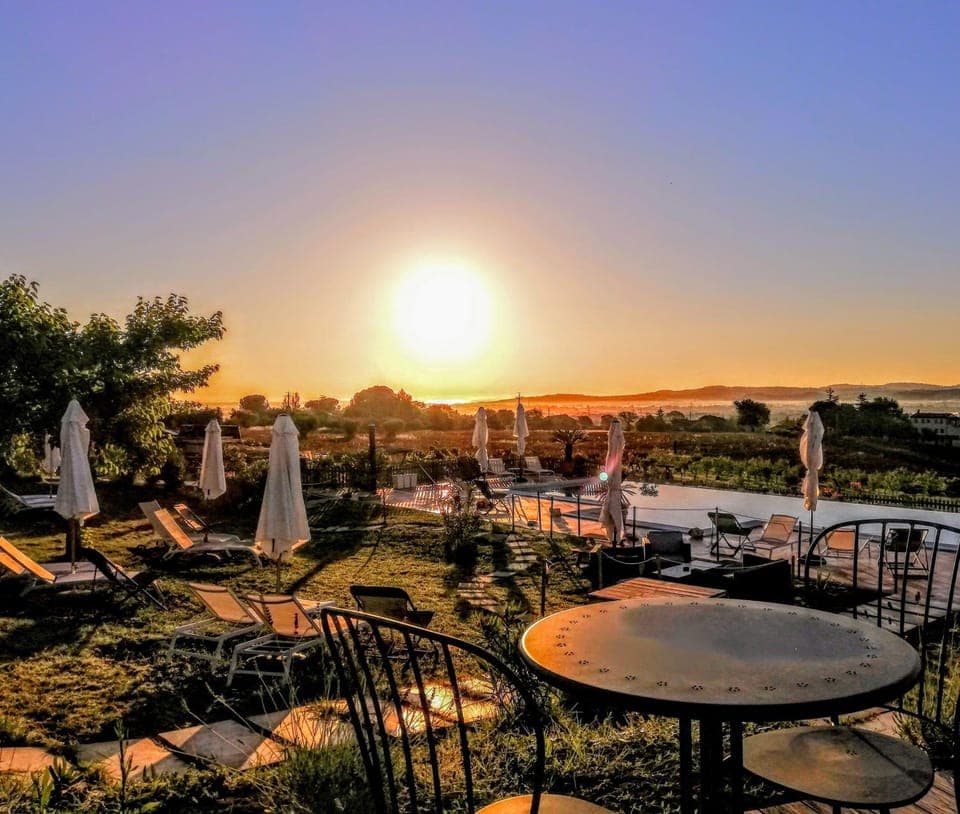 Summer, Garden, Swimming pool, Sunrise