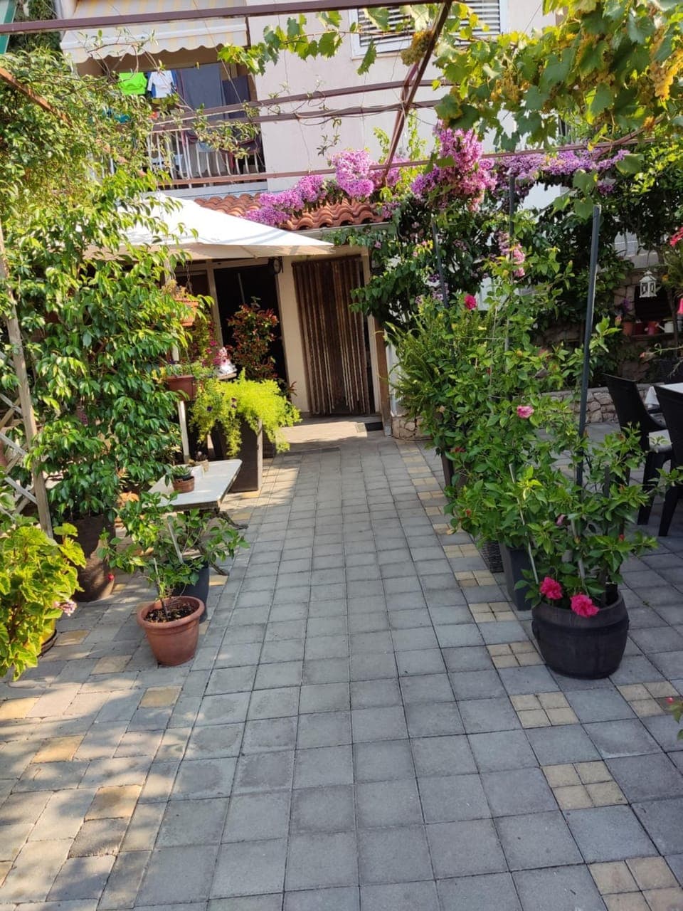 Dalmati house Bed and Breakfast in Šibenik