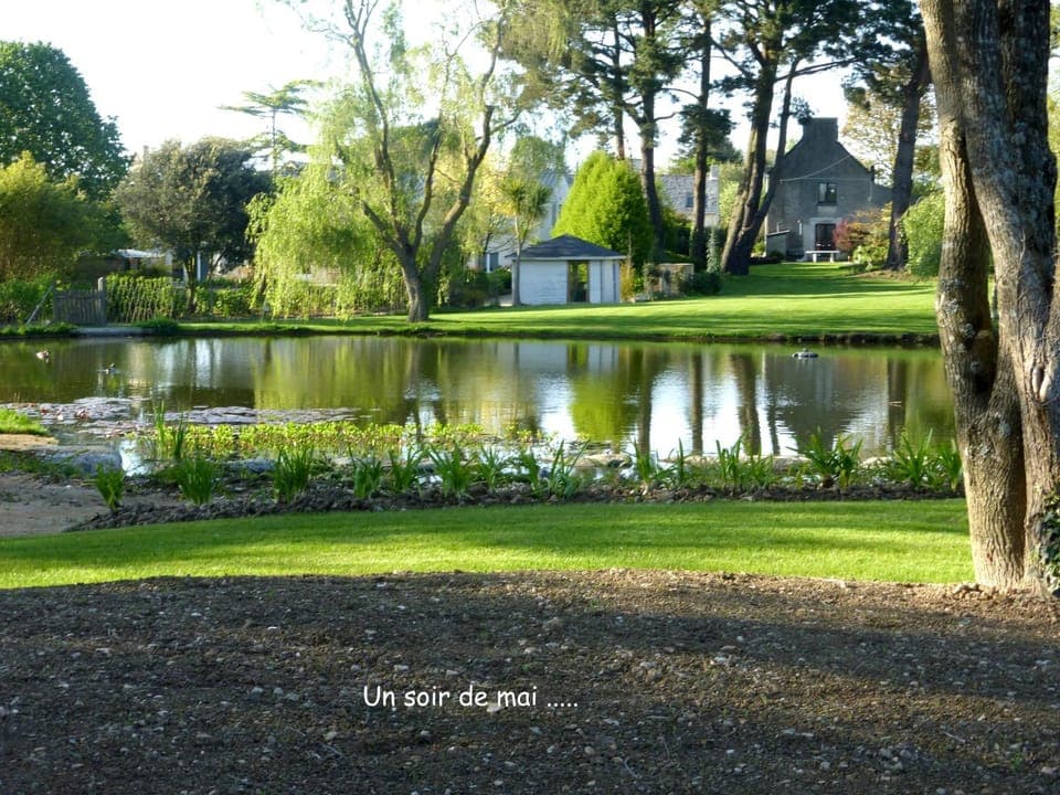 Nearby landmark, Spring, Garden, Lake view