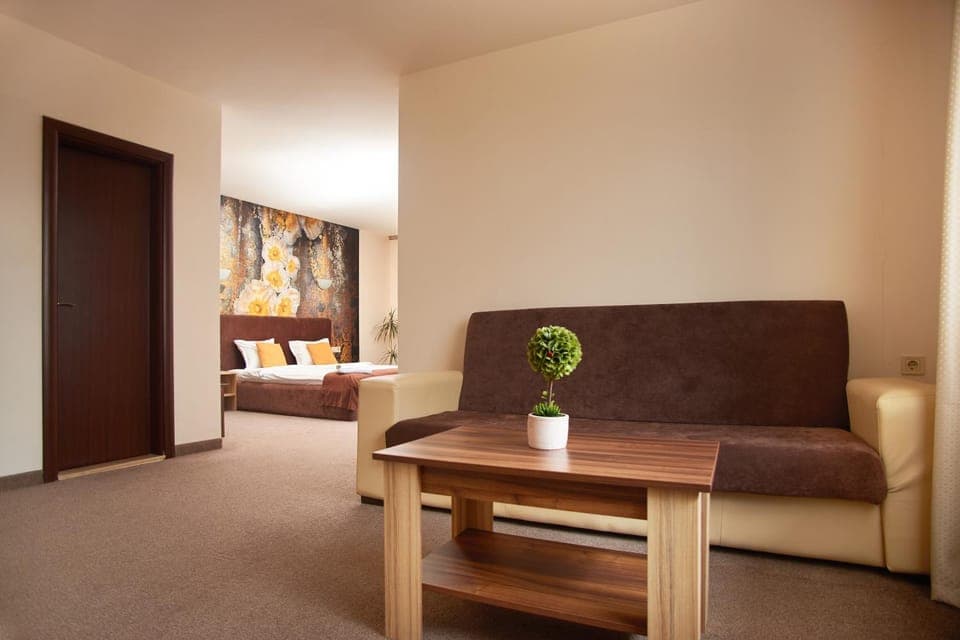 Bed, Living room, Photo of the whole room, Seating area, Bedroom