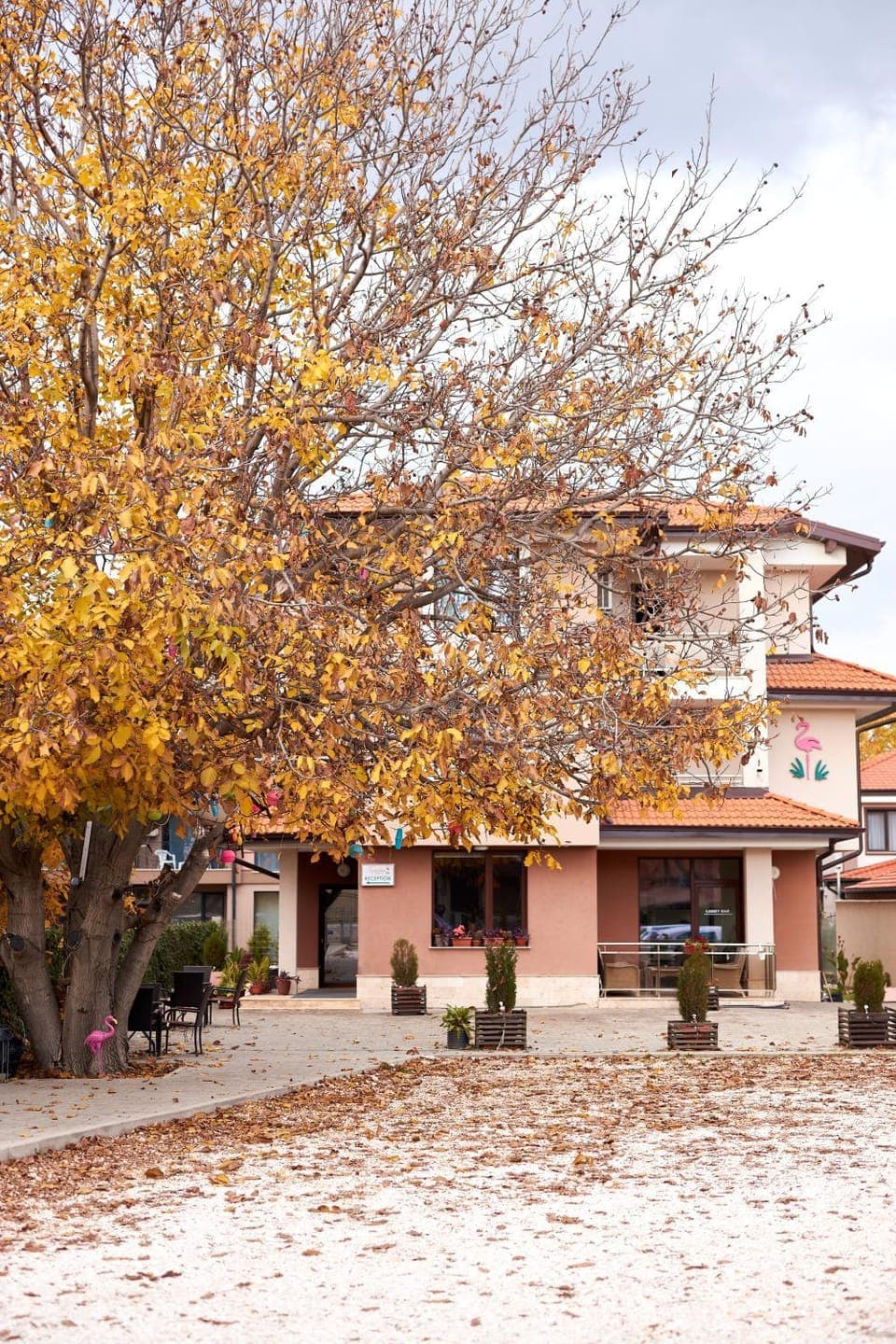 Property building, Day, Garden, Location, Parking