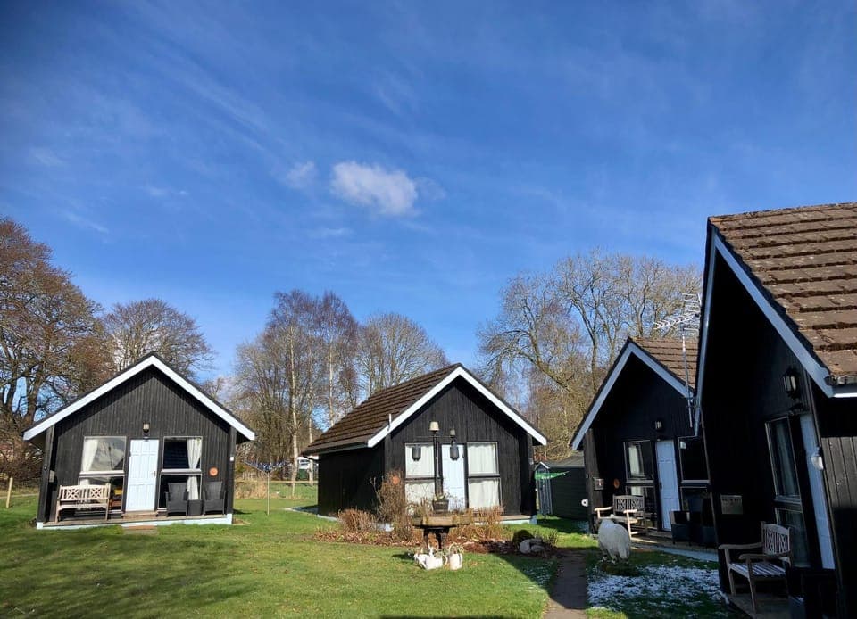 Property building, Spring, Day, Garden, Garden view