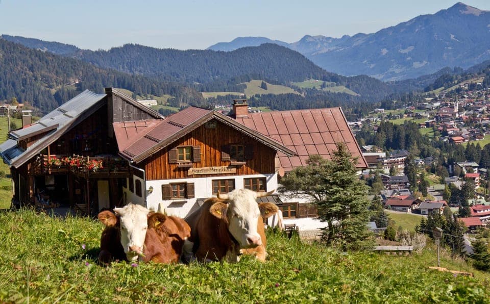 Property building, Spring, Day, Natural landscape, Mountain view