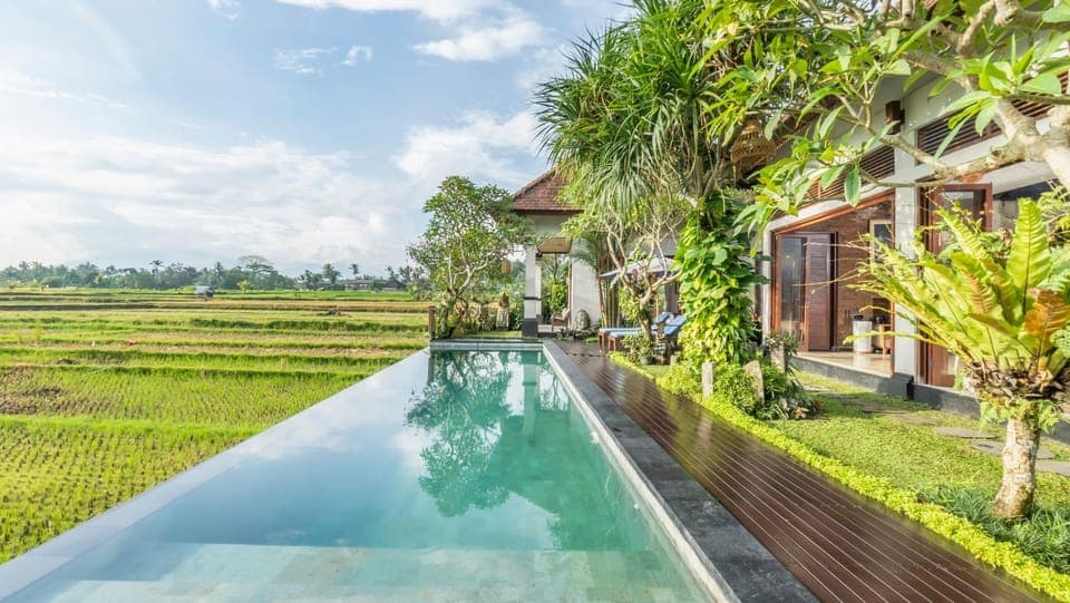 Property building, Day, Natural landscape, Garden, Garden view, Pool view, Swimming pool