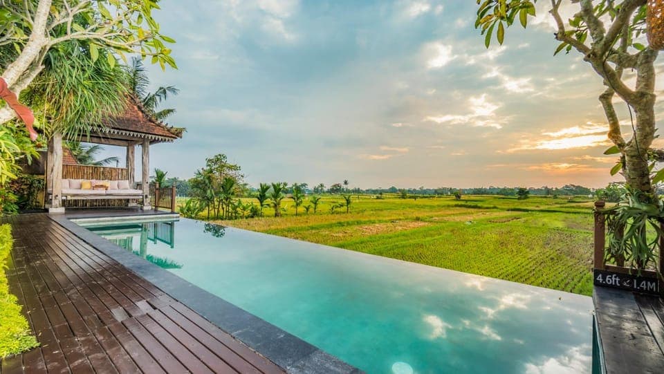 Natural landscape, Garden, Pool view, Swimming pool, Sunset