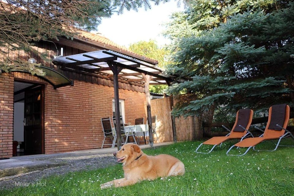 Facade/entrance, Garden, Pets