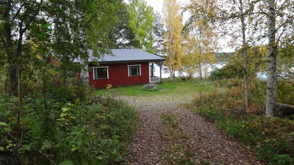 Spring, Garden, Garden view