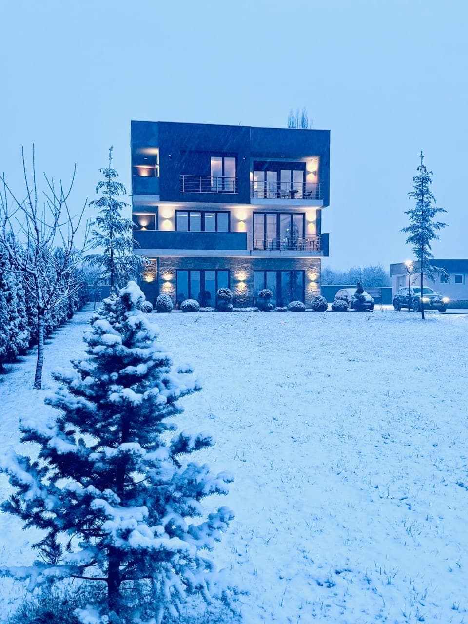 Property building, Winter