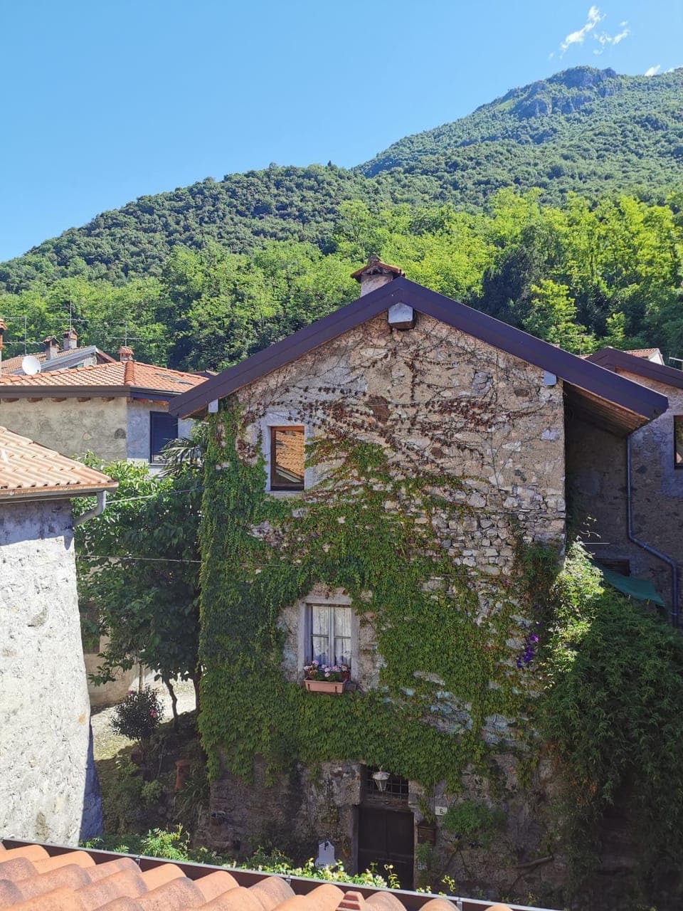 Natural landscape, Mountain view