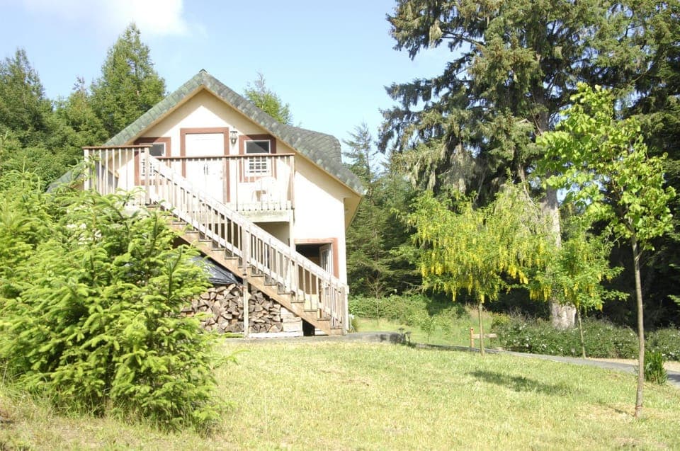Garden, Balcony/Terrace, Decorative detail